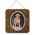 thumbnail image 1 of 6 In. Starry Night Chesapeake Bay Retriever Aluminium Metal Wall Or Door Hanging Prints, 1 of 1