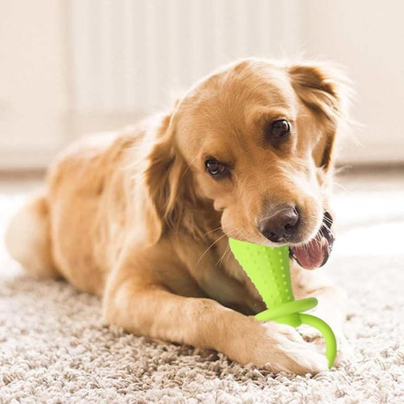 6 Inch Bell Shaped Dog Pacifier Chew Toy, Bite Resistant Rubber Molar Teething Training Toy for Puppies, Small Dogs & Cats, Mini Compact Pet Play Toy, Green