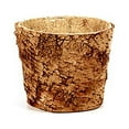 thumbnail image 1 of Napco Imports Indoor Outdoor Plant Succulent Herb Flower Pot 6.75 Inch Wood Birch, 1 of 3