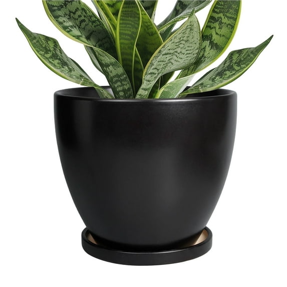 6 inch Ceramic Planter Pot with Saucer | Modern Decorative Outdoor Plant Pot for Indoor Plants & Cactus,Matte Black