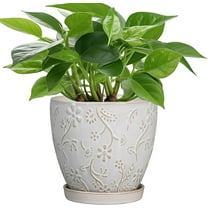 6 Inch Ceramic Plant Pot for Indoor Plants Outdoor Round Planter Flower Pot with Drainage Hole and Saucer for Home Garden Office Decor White