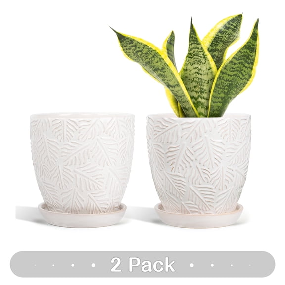 (2 PACK)EFISPSS 6 inch white ceramic plant pots with Drainage and separate saucer, natural Boho Crackle Glaze Flower Pots for indoor/outdoor