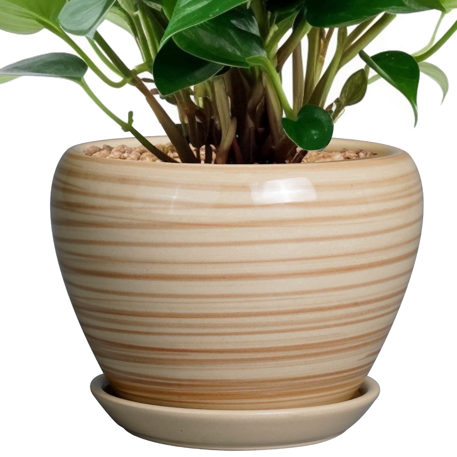 Stillaflora 6 inch Yellow Round Ceramic Flower Pot with Saucer | Modern ...