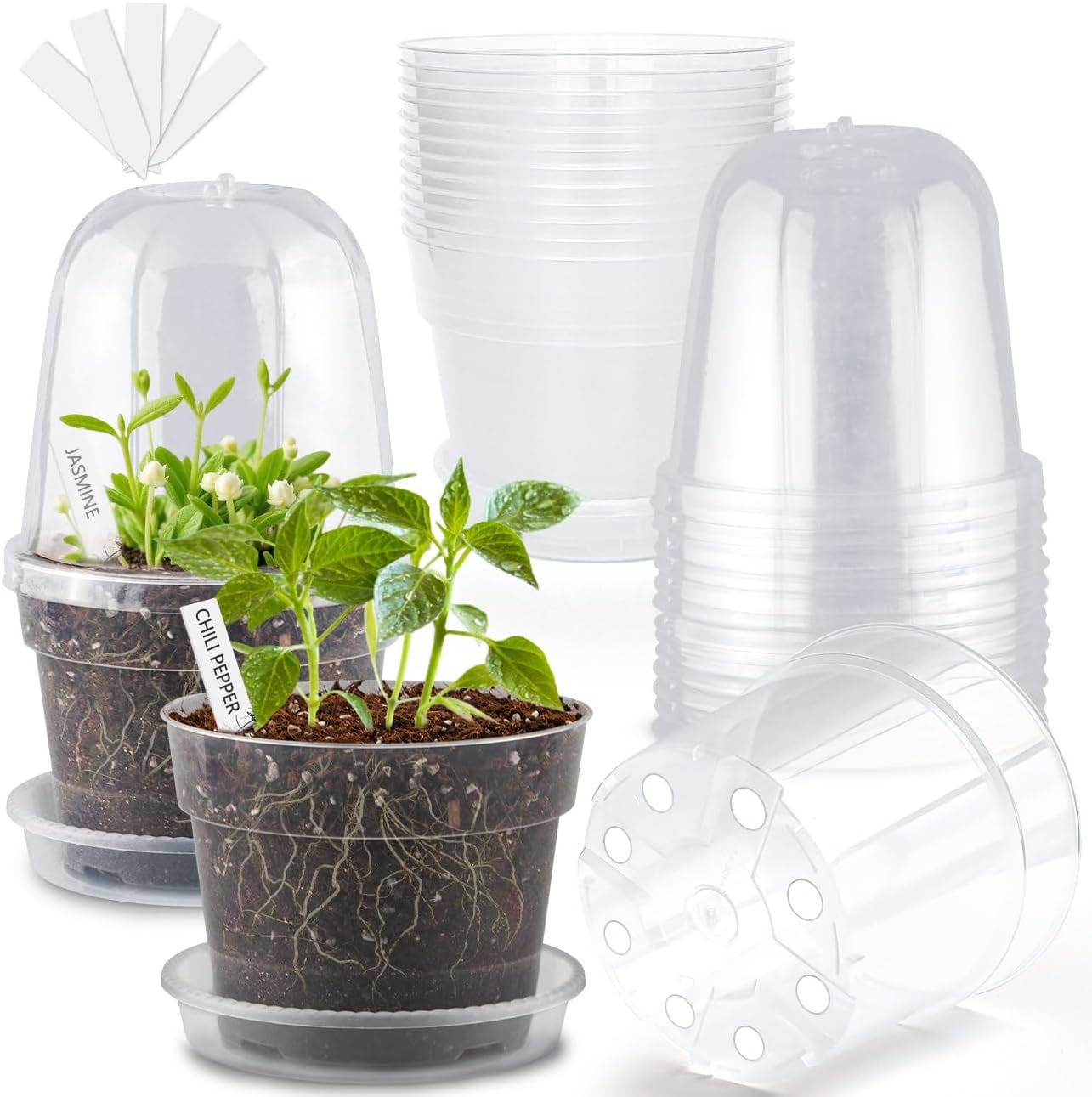 6 Inch Clear Nursery Pots with Humidity Domes 15 Pack, Transparent ...