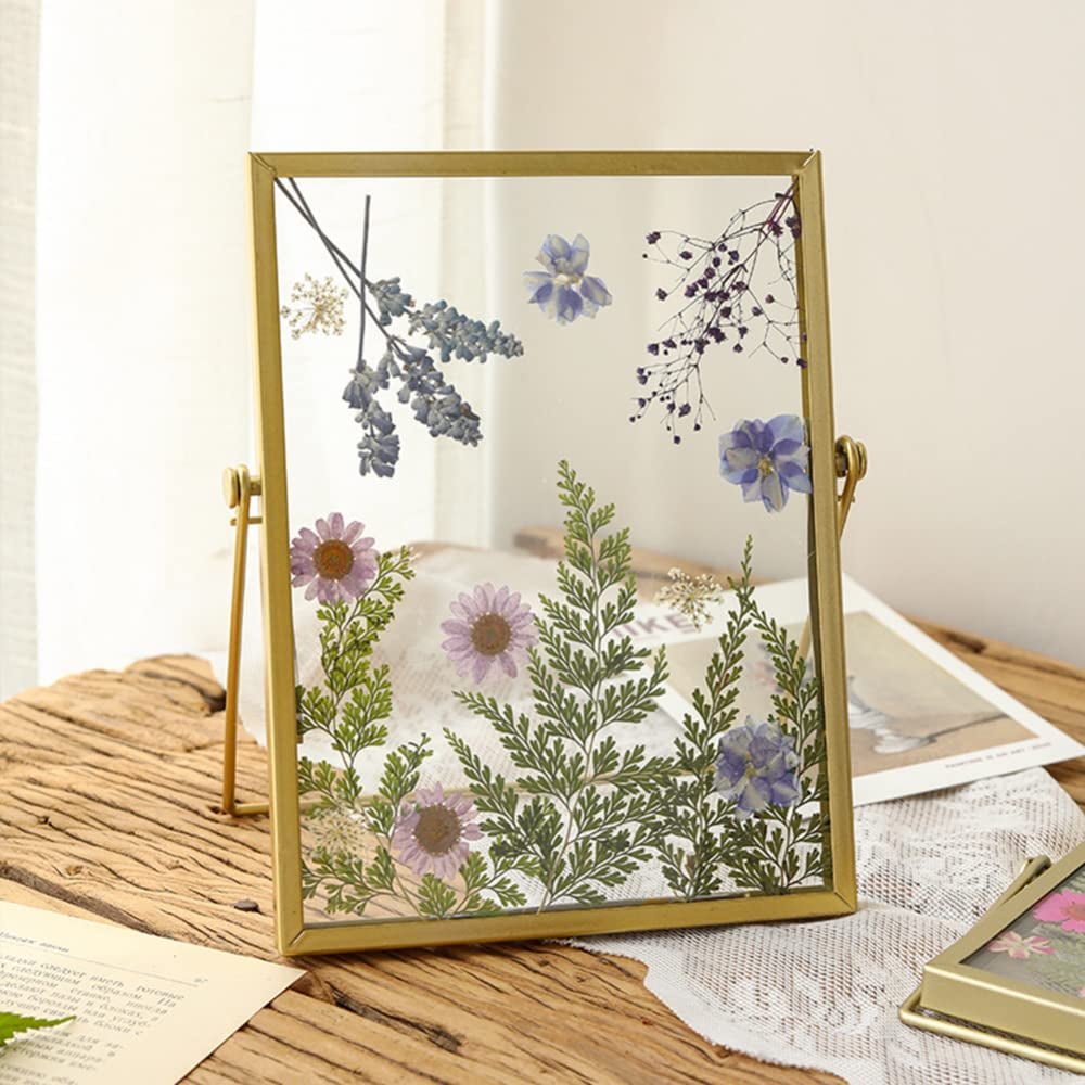 6 Inch DIY Double Glass Pressed Flower Photo Frame,Handmade Simple Dried  Flower Picture Frame Dried Leaf Photo Display Minimalist Table Ornament for  Home Living Room Office Desktop Decoration 