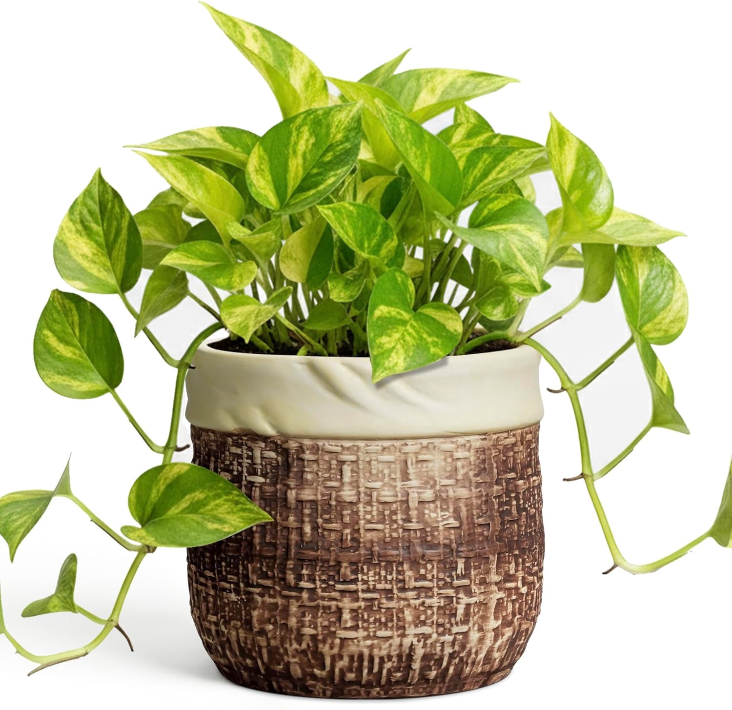 6 Inch Plant Pot - Ceramic Pots for Plants with Drainage Hole and Plug, Unique Plant Pots for Indoor Outdoor Plants, Round Planter, Room Home Decor, Gifts for Plant Lovers, Brown