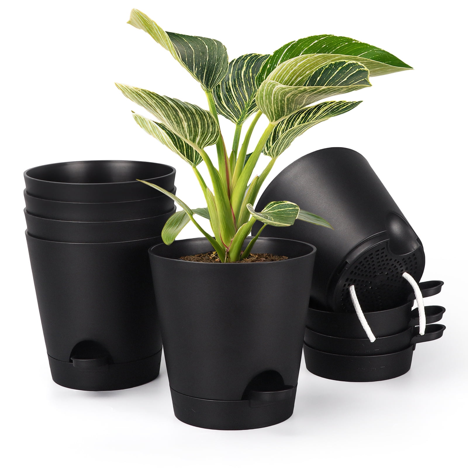 6 Inch Plant Pot Set of 6, Black, Self Watering Liberia | Ubuy