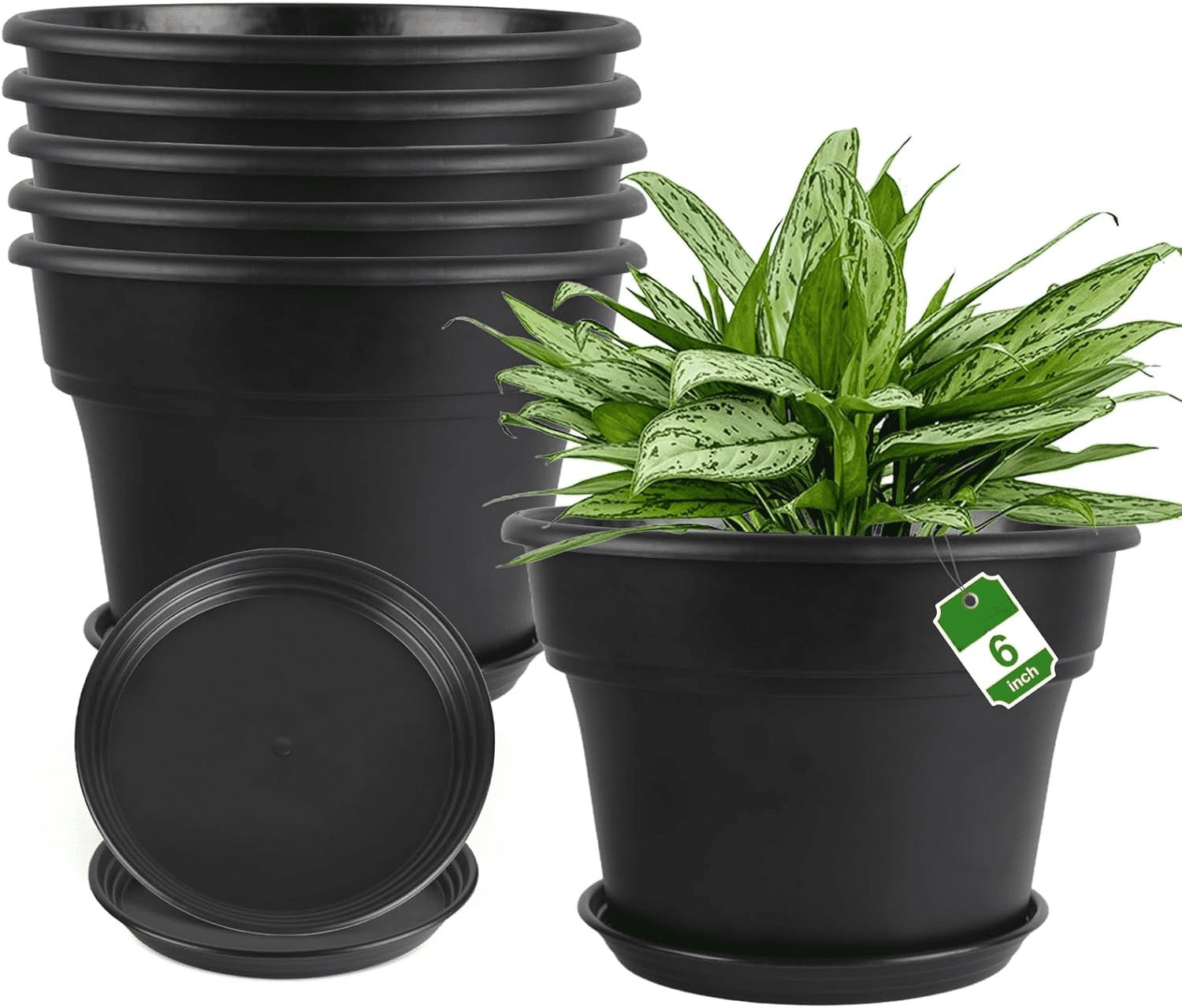 6-Inch Plant Pots for Indoor and Outdoor, 10 Pack Plastic Planters with ...