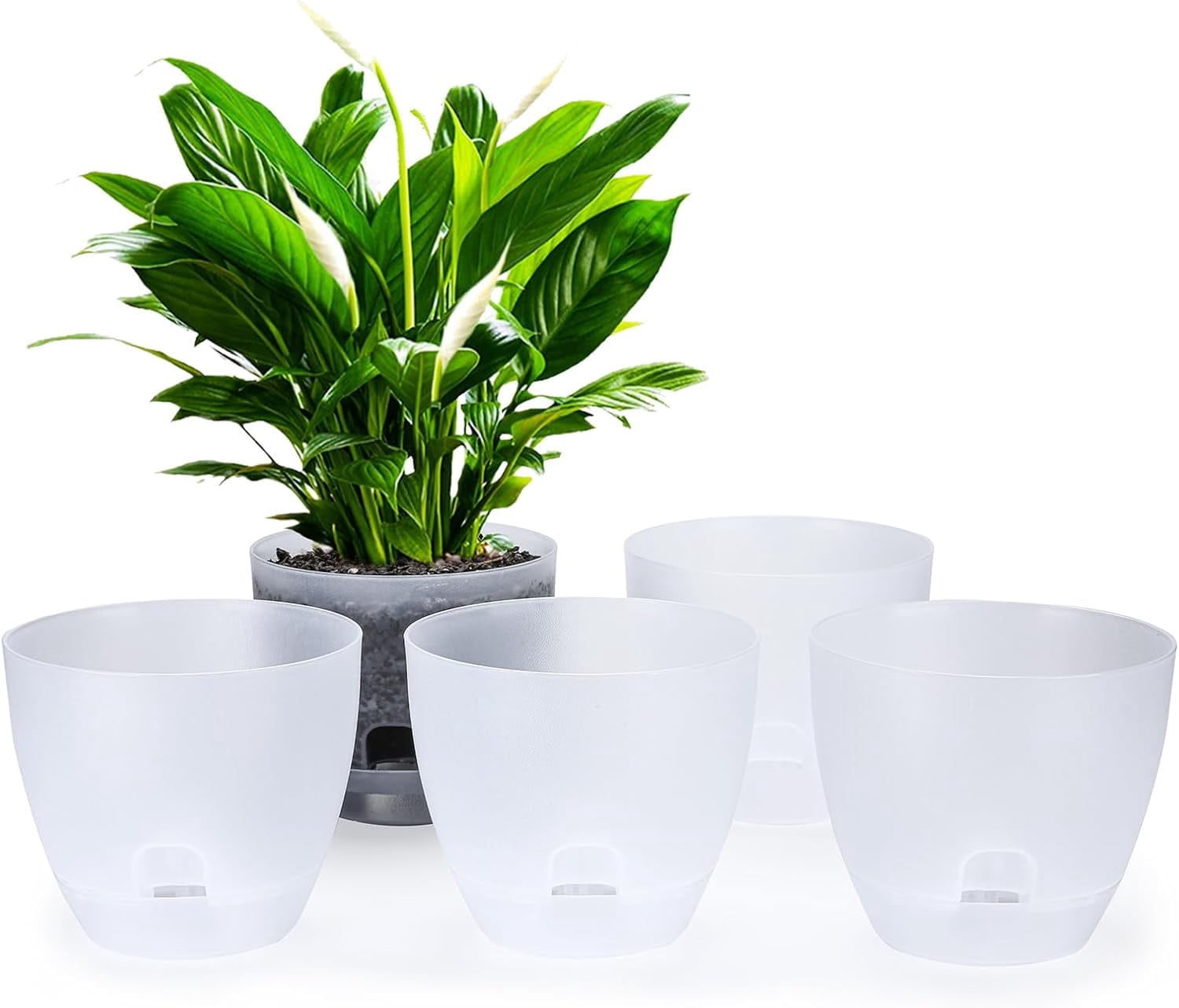 6 Inch Self Watering Plant Pots, Plastic Planters with Drainage Holes ...