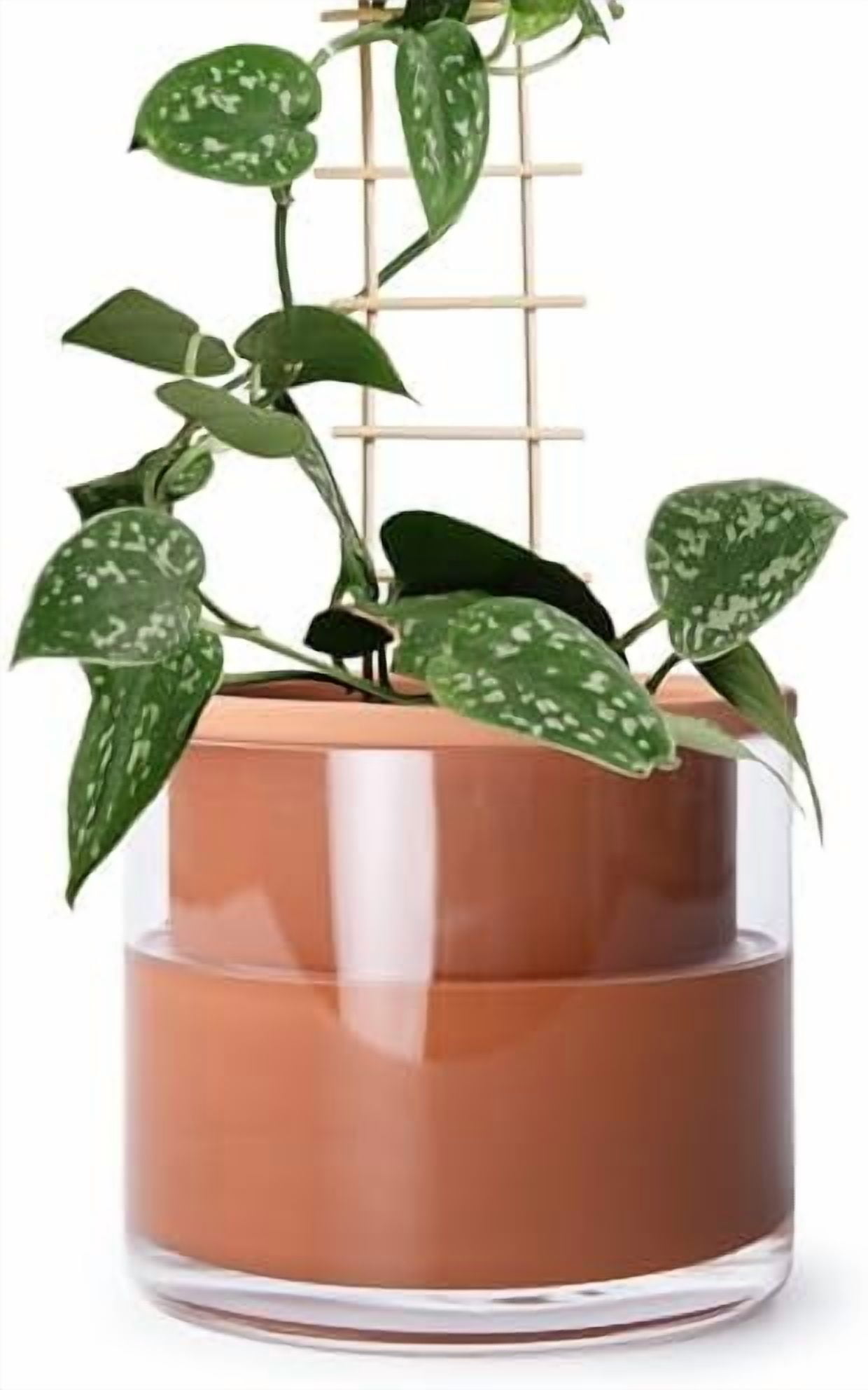 6 Inch Self Watering Plants Pot, Design Terracotta Pot for Plants, Indoor Cylinder Terra Cotta Planter with Glass Vase, Set of 1, 51-A-F-1