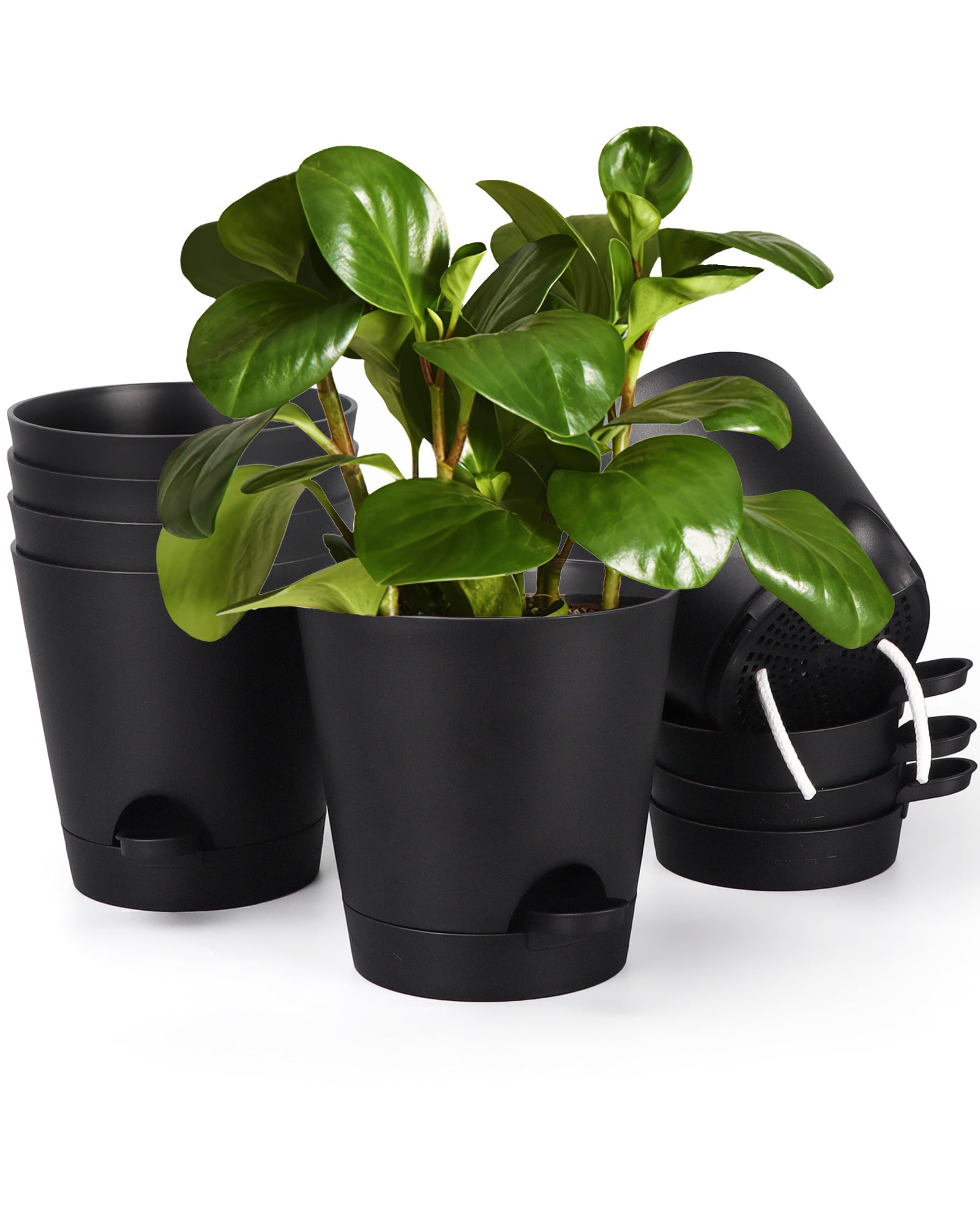 Plastic Self Watering Planter Pots, 6 Inch Plant Pots African Violet Pots  for Indoor Outdoor Windowsill Gardens, Self Aerating, High Drainage, Deep