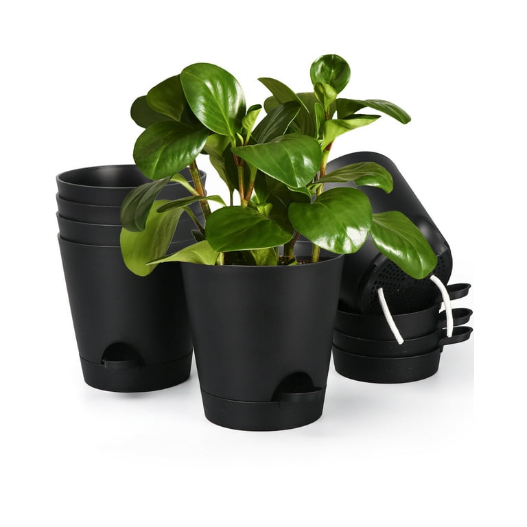 6 Inch Self Watering Plastic Planters Set of 6, Black Plant Pots for Indoor  Outdoor with Drainage Holes for Snake Plant, African Violet, Aloe, and Most  House Plants 