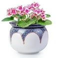 thumbnail image 1 of ‌EFISPSS 6" Self-Watering Ceramic Planter for African Violets - Red Gradient | Stylish Home Decor‌, 1 of 8