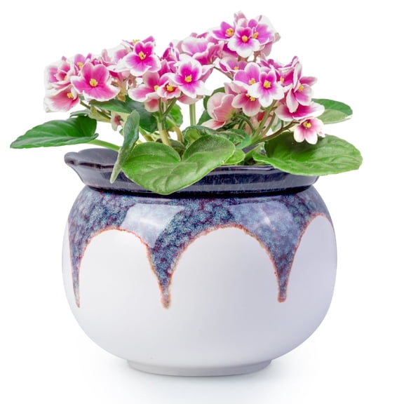‌EFISPSS 6" Self-Watering Ceramic Planter for African Violets - Red Gradient | Stylish Home Decor‌