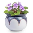 thumbnail image 1 of ‌EFISPSS 6" Self-Watering Ceramic Planter for African Violets - Red Gradient | Stylish Home Decor‌, 1 of 13