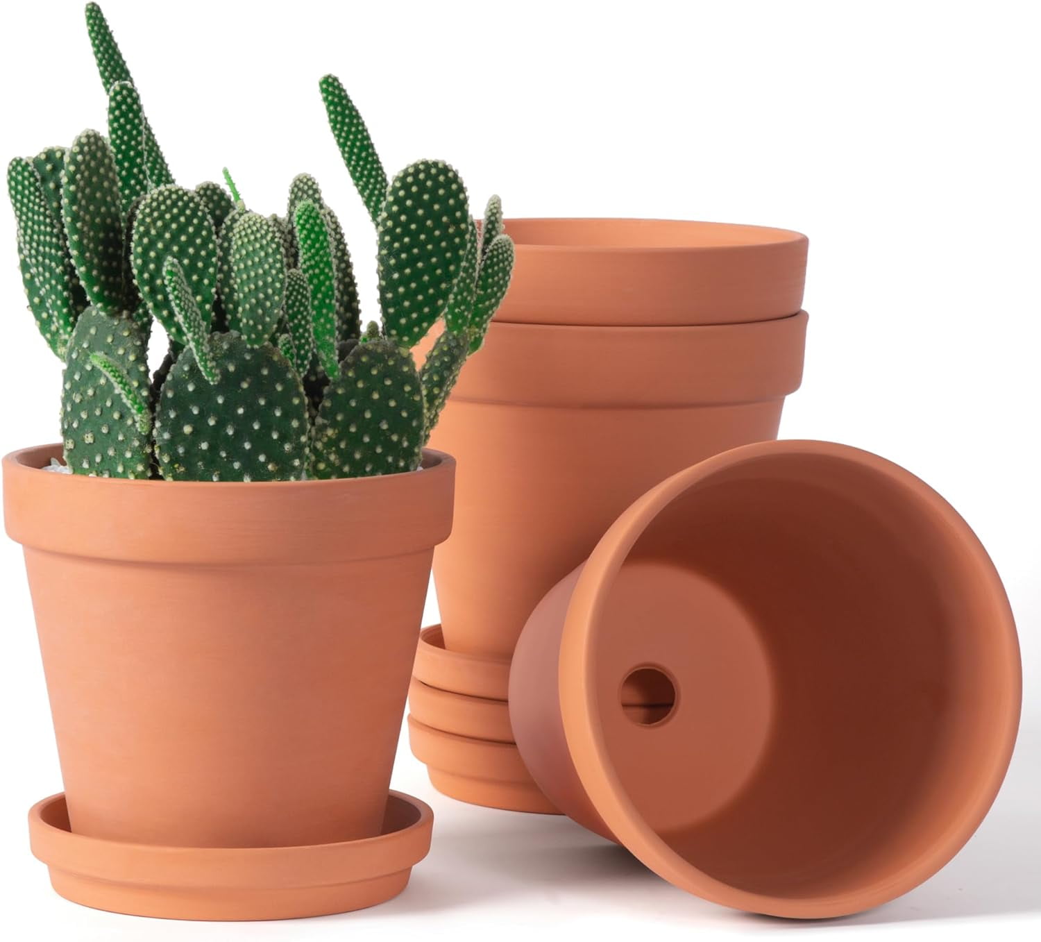 6 Inch Terracotta Plant Pots with Drainage Hole and Saucer, Indoor Outdoor Clay Flower Pots, Medium Planters Set of 4