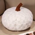 thumbnail image 1 of 6 Inch Thanksgiving Pumpkin Decor Pillow Throw Thanksgiving Decorations Fall Sofa Pillows Pumpkin Decorations Outdoor, White, 1 of 4