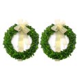6 Inches Real Boxwood Wreath 2 Pack Green Leaves Wreath with A Light