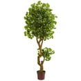 thumbnail image 1 of 6’ Jingo Artificial Tree, UV Resistant (Indoor/Outdoor), 1 of 3