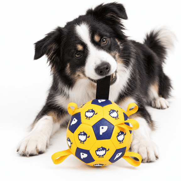 6" Jolly Soccer Ball For Dogs - Tough Durable Dog With Straps Pet Bouncy Herding Balls Floating Tags Water Fetch Baabaaball (