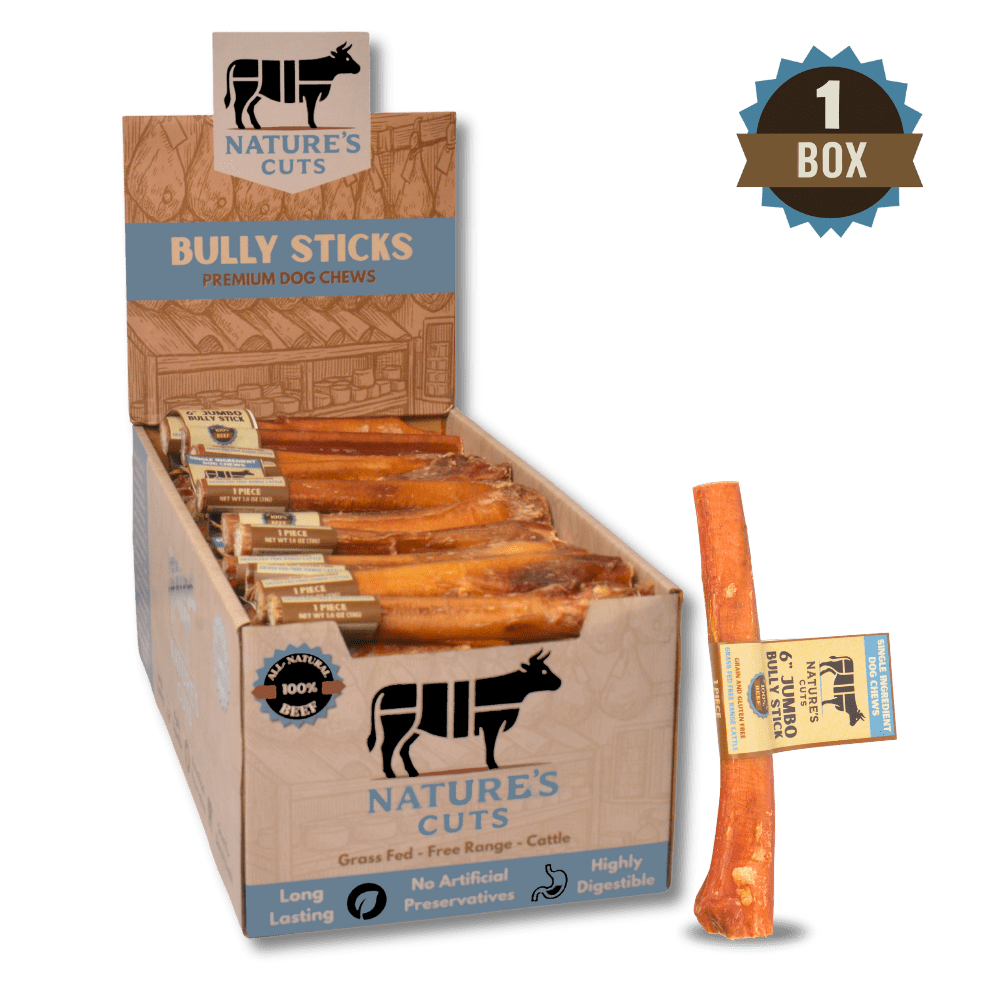 6" Jumbo Bully Sticks Display Box (60 ct) with Individual UPC Tags - 100% All Natural Beef