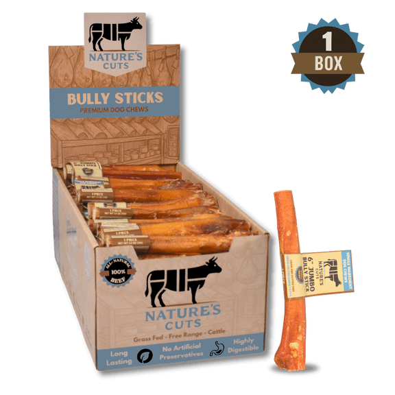 6" Jumbo Bully Sticks Display Box (60 ct) with Individual UPC Tags - 100% All Natural Beef
