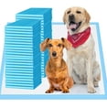 6 Layers LeakProof Super Absorbent Puppy Pads Pee Pads for Dogs, XXL