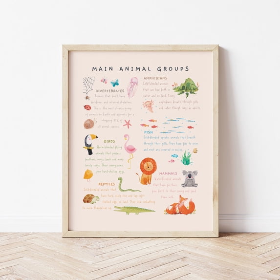 6 Main Animal Groups Educational Poster Watercolor Nature Theme Animal ...