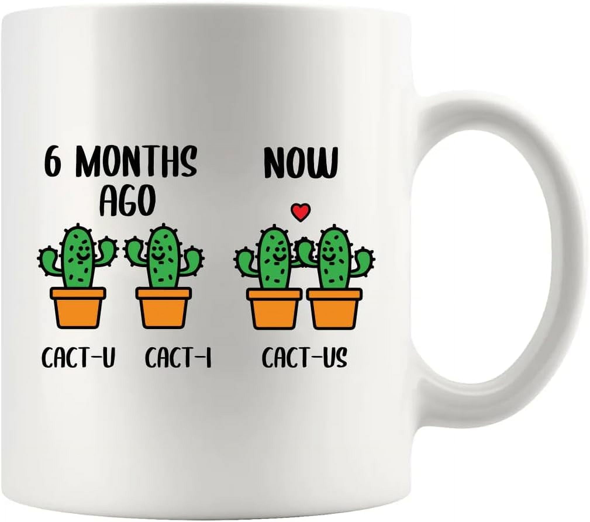 Month Anniversary Cactus Boyfriend Gifts From Girlfriend Sixth