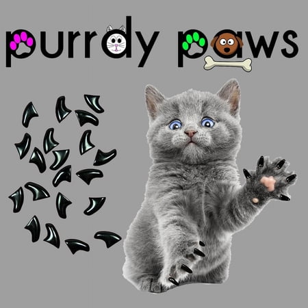 6 Month Supply - Purrdy Paws Black Soft Nail Caps for Kittens Claws - Extra Adhesives