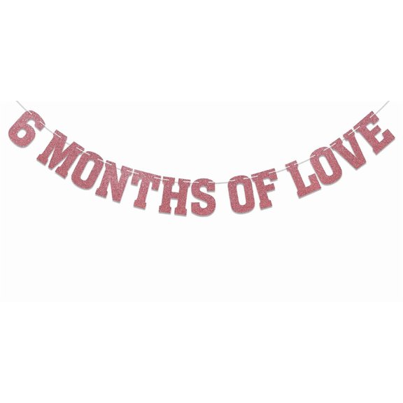 6 Months of Love Banner - 6 Months Birthday Decorations, Half Way to One Banner, Happy 6 Month, Happy 1/2 Birthday Banner, Baby Shower/First Birthday Party Decorations Rose