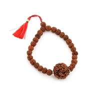 6 Mukhi Six Face Rudraksha Bead Natural 6 face Nepal and Indonesian Java 5 Mukhi Bead Bracelet