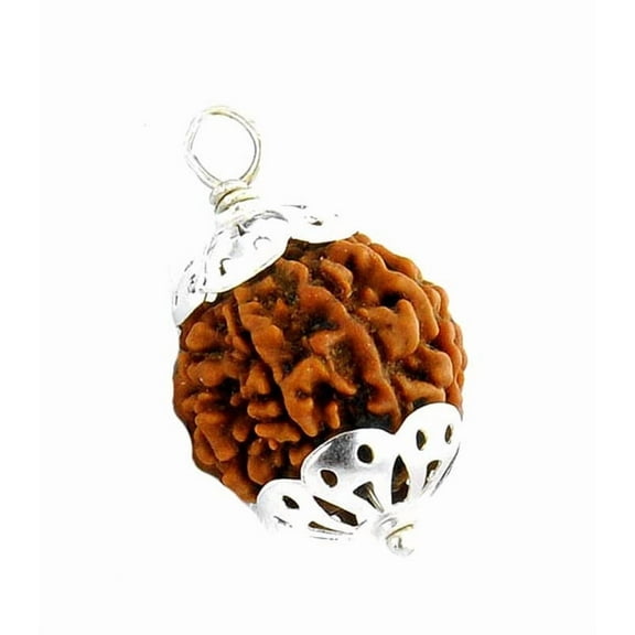 6- Mukhi Six Face Rudraksha Bead Natural Rudraksha Bead Pendant Six Face Rudraksha Bead