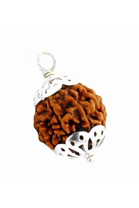 6- Mukhi Six Face Rudraksha Bead Natural Rudraksha Bead Pendant Six Face Rudraksha Bead