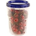 thumbnail image 1 of EcoQuality Plastic 4-Cup Airtight Food Storage Canister, Set of 6, 1 of 7