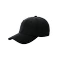 thumbnail image 1 of 6 PANEL POLYNOSIC CAP - Black, 1 of 1