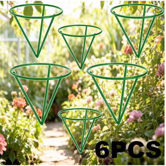 6 PCS Avocado Germination Station, Clear Acrylic Seed Starter Planter with Metal Stand, DIY Hydroponic Growing Kit for Home Gardening