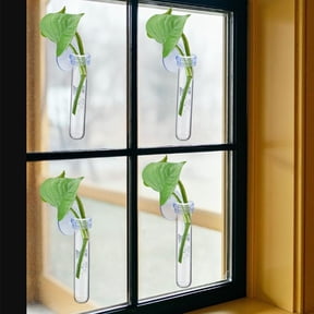 6 PCS Window Propagation Stations, Clear Plastic Plant Tubes with Suction Cups, Wall Hanging Terrarium Water Holders for Home & Office Decor, Easy to Install