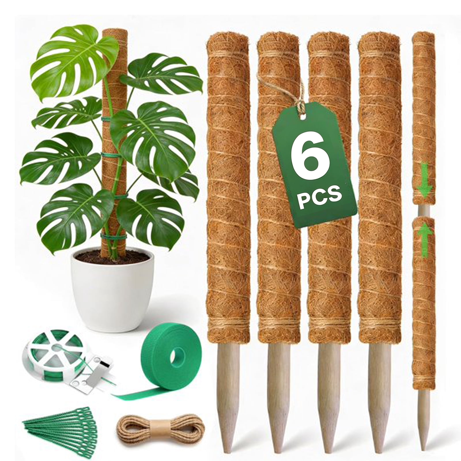 【美品】MOSS STICK U5 Moss Stick Money Plant Supports for Garden