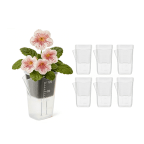 2 Inch Pots for Patio and Garden