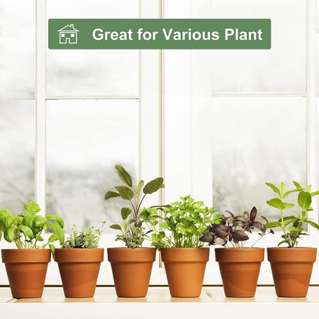 6 Pack 2 inch Small Terracotta Pots for Succulents, Clay Flower Planters with Drainage Holes for Indoor, Outdoor Plants, Cactus, Arts and Crafts Projects