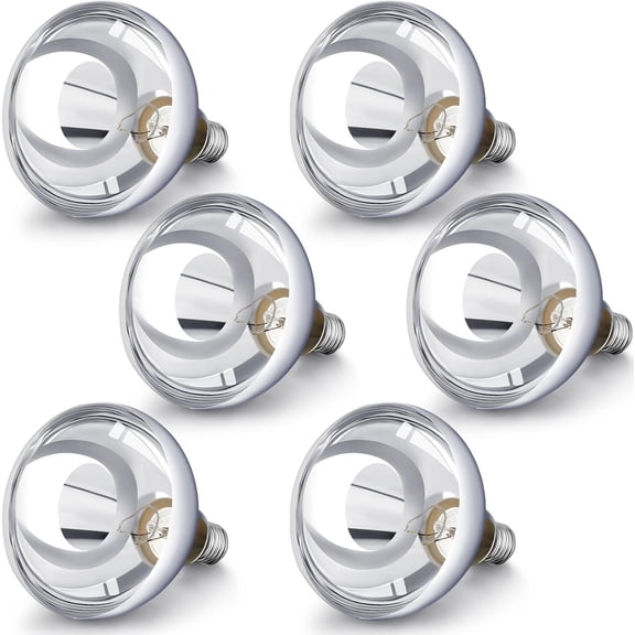 6 Pack 250 Watt Heat Lamp 120v R40 Bulbs Glass Incandescent Light Heating Lightbulbs for Reptiles Chicks Food Puppies Bathroom, Use E26 Base (Silver)
