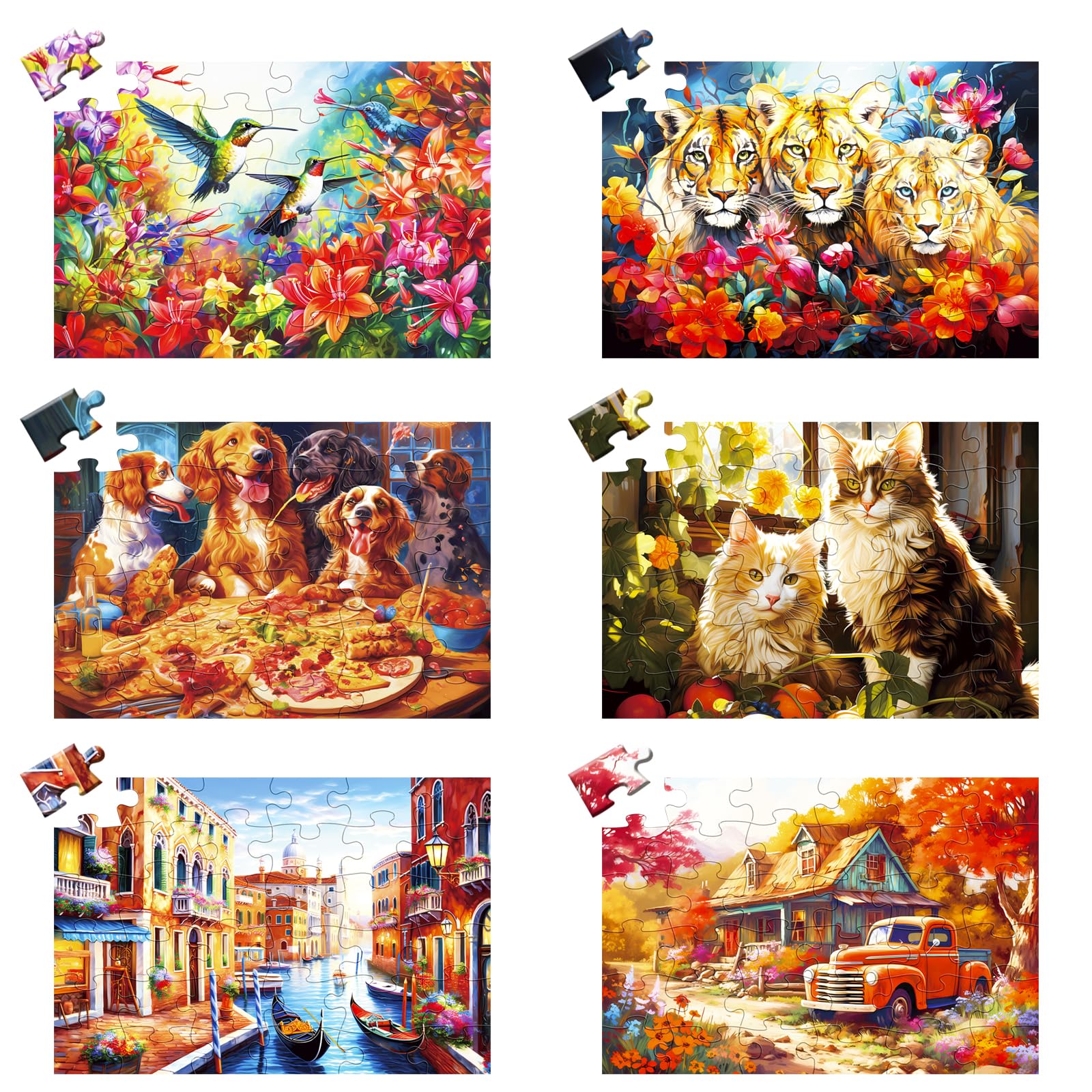 6 Pack 36 Large DHF10 Piece Puzzle for Seniors Dementia Alzheimer's