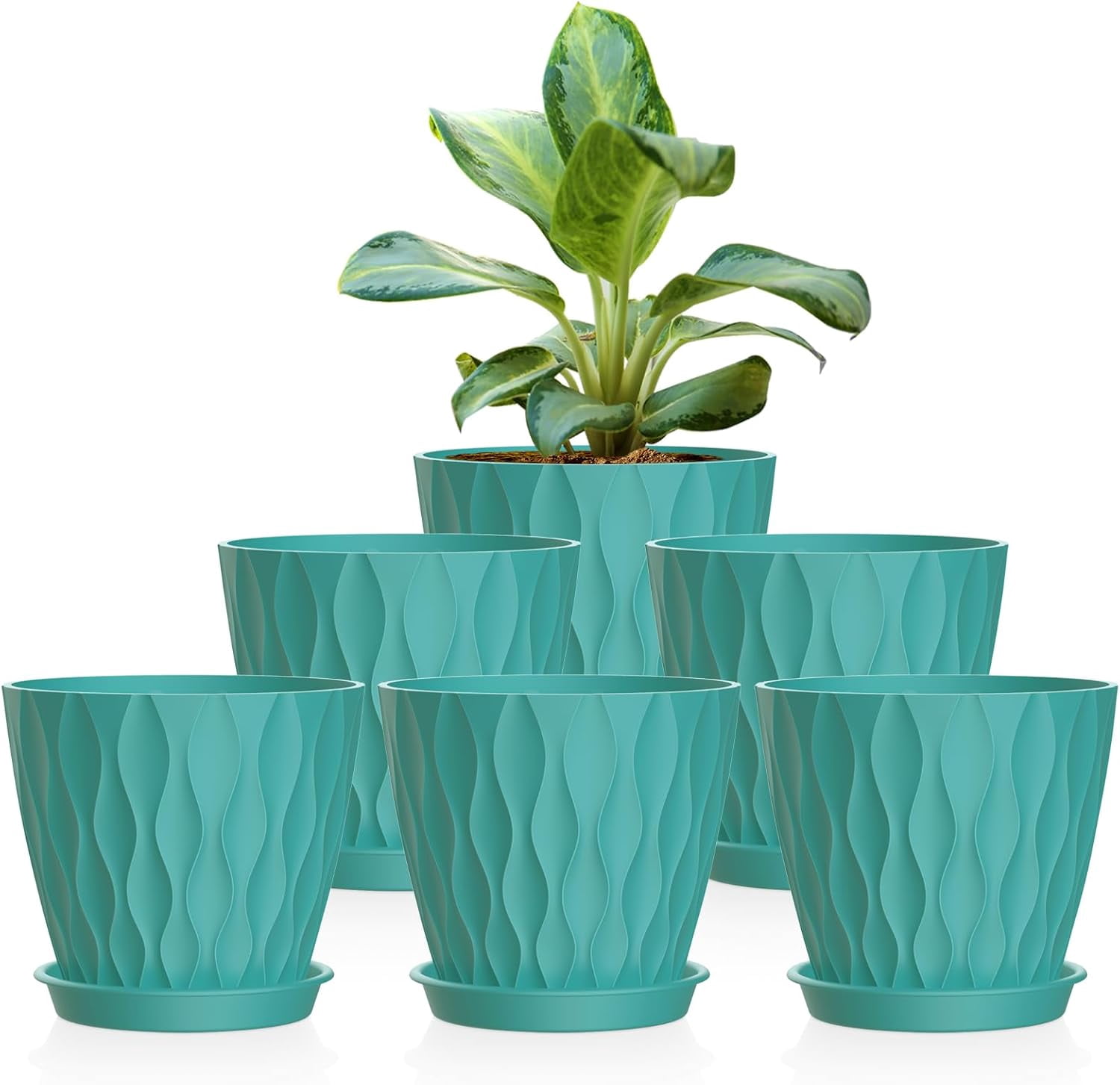6 Pack 4 Inch Small Plant Pots with Saucers, 3D Textured Plastic ...