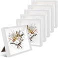 thumbnail image 1 of 6 Pack 8 x 8 Inches Shadow Box Frame, 3D Wood Frame Memory Display Cases,1.2in Depth Picture Case for Dried Flowers, DIY Craft,Medals, Memorabilia,Tickets, 1 of 4