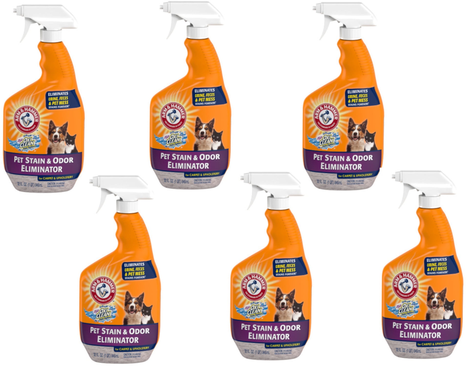 6 Pack - ARM & HAMMER Pet Home Care Pet Stain Odor Eliminator 32oz