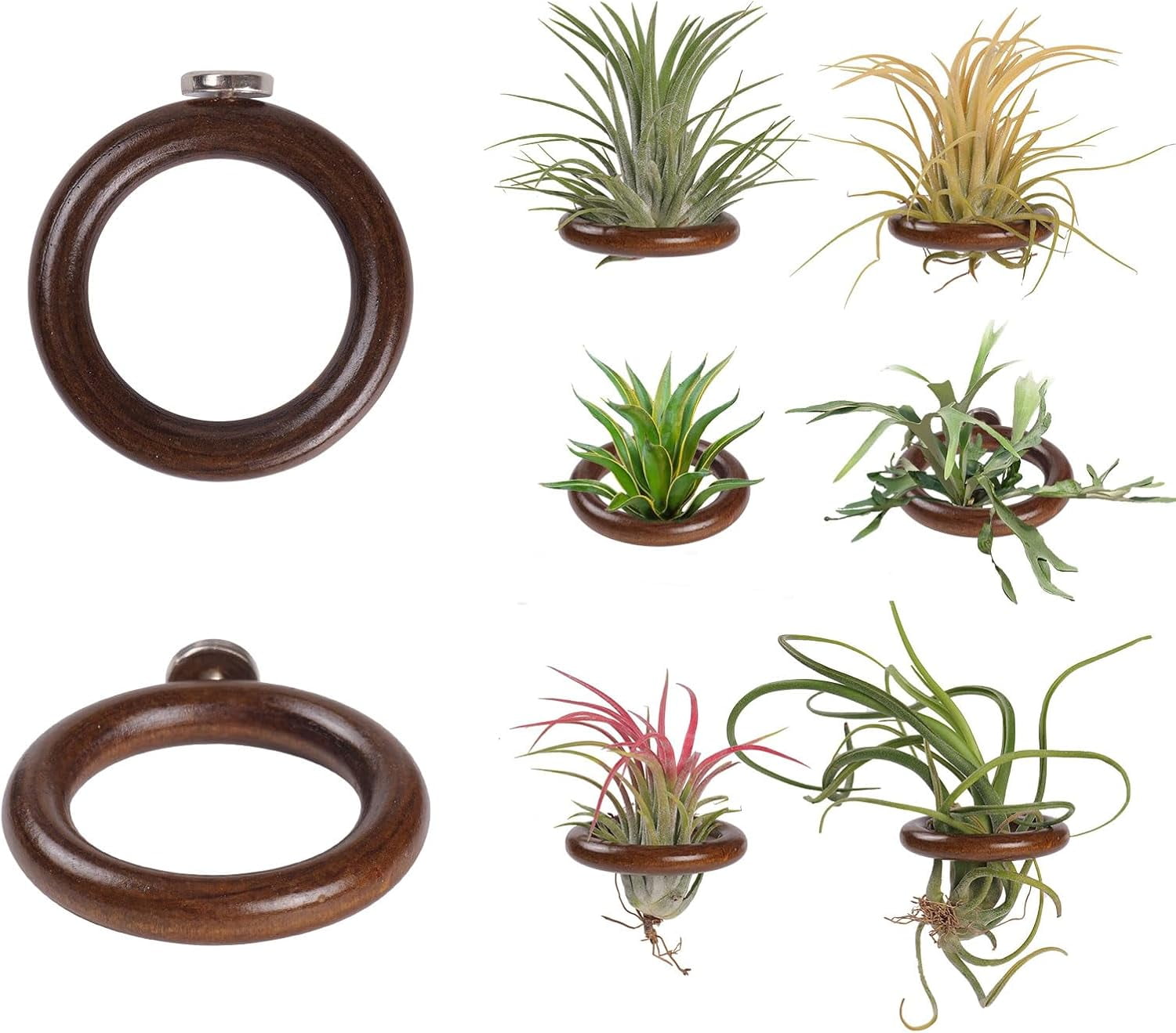 Mini Pot Aimanté Pour Plante Aérienne (air Plant) - Vintage Bois Jaune, Déco Murale