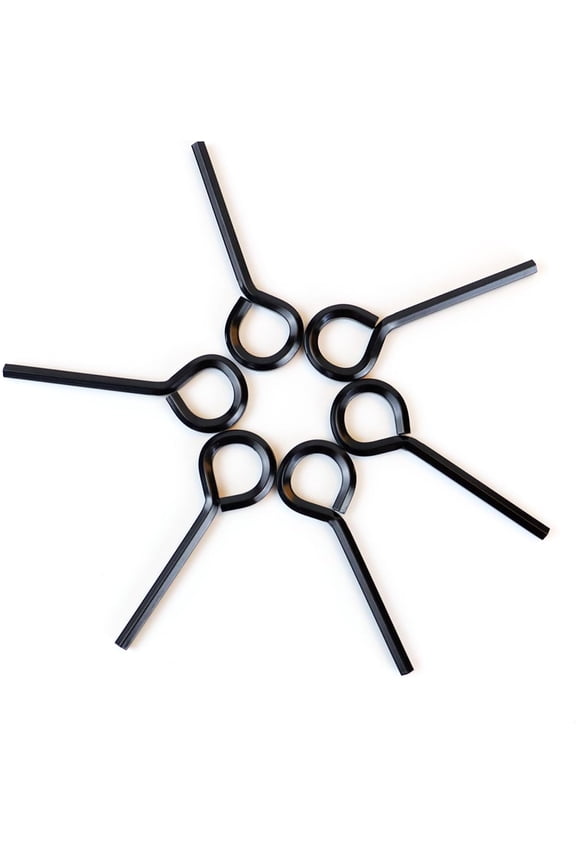 6 Pack Allen Wrench Hex Key for Push Bar Door Panic Exit Devices 5/32 Inch Standard Hex Dogging Key with Full Loop Hex Key Keychain Set Solid Metal Hex Keys Wrench (Black)