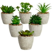 6 Pack Artificial Succulent Plants with Pots for Office Desk, Faux Indoor Mini Cactus Decor for Home, Bedroom (2.7 to 4 in)