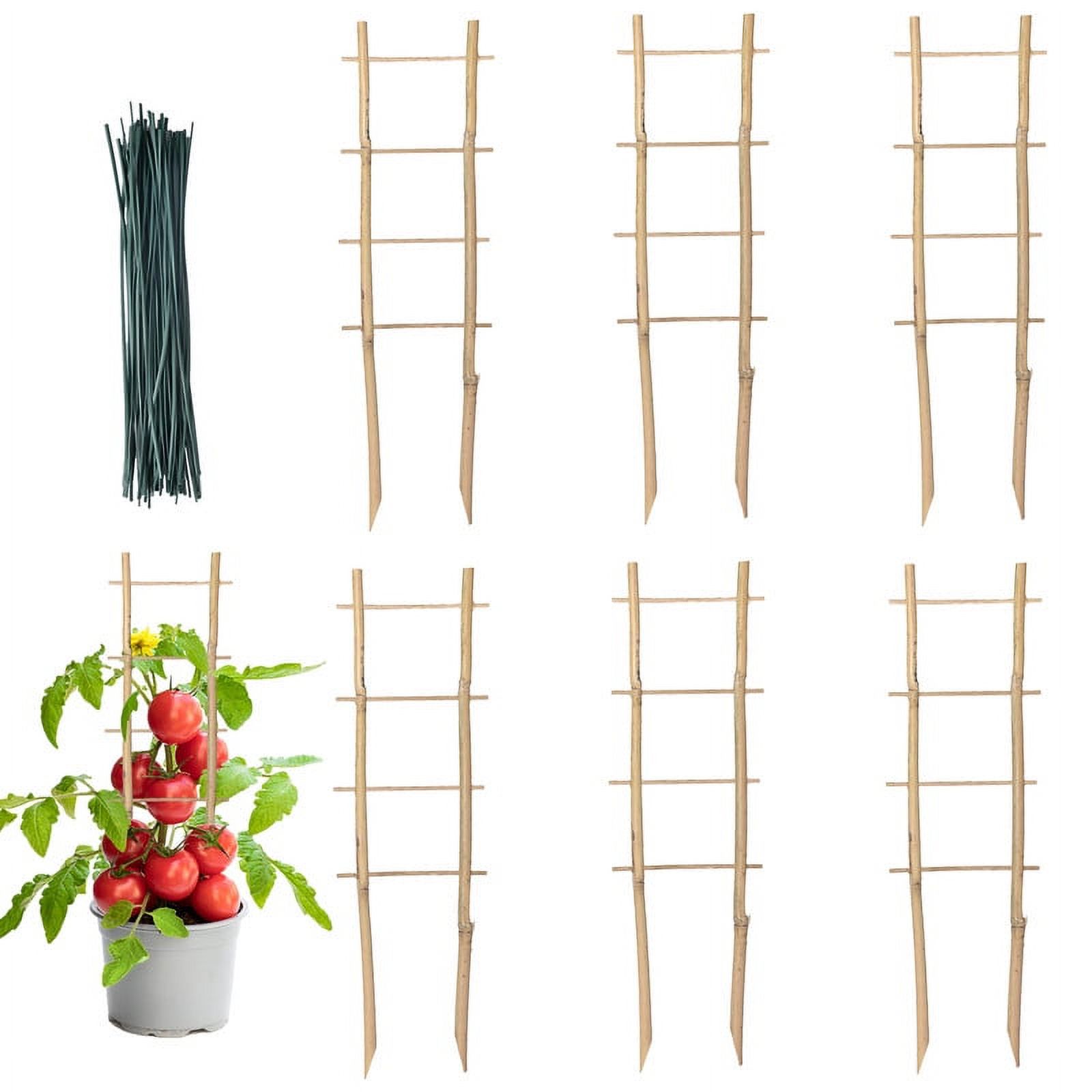 6 Pack Bamboo Trellis 16 Inch Ladder Shaped Small Plant Trellis for